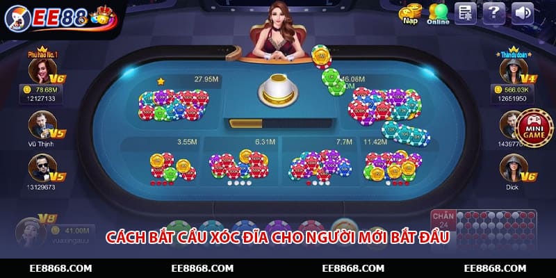 Cách bắt cầu xóc đĩa cho người mới bắt đầu