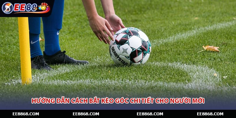 Hướng dẫn cách bắt kèo góc chi tiết cho người mới