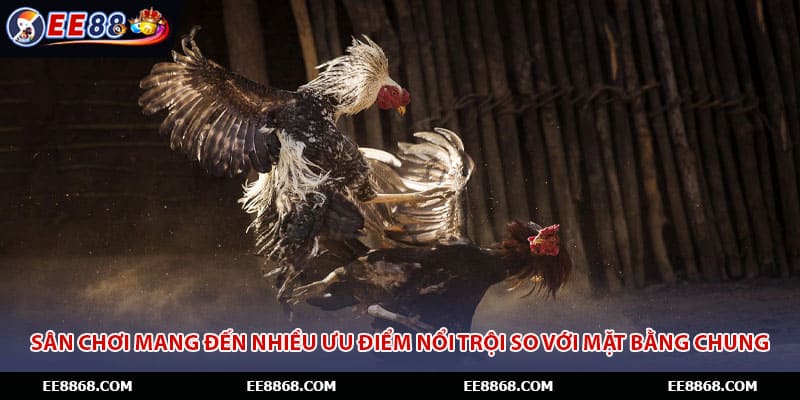 Sân chơi mang đến nhiều ưu điểm nổi trội so với mặt bằng chung