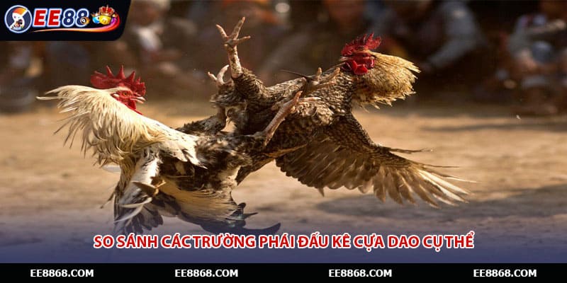 So sánh các trường phái đấu kê cựa dao cụ thể