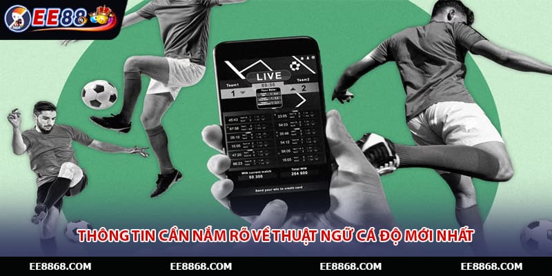 Thông tin cần nắm rõ về thuật ngữ cá độ mới nhất